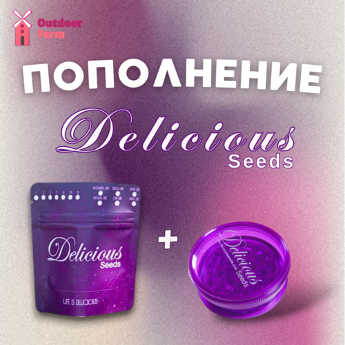 Delicious Seeds уже на витрине!