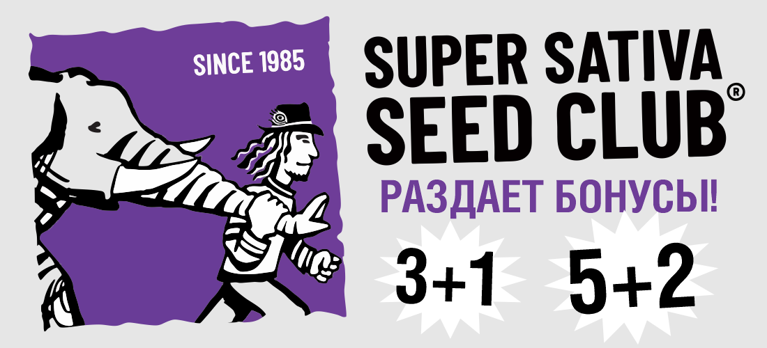 Бонусы от Super Sativa Seed Club