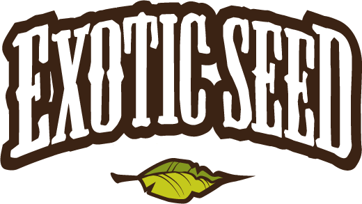 РАСПРОДАЖА EXOTIC SEED!
