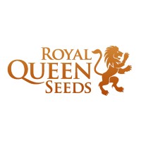 -20% на Royal Queen