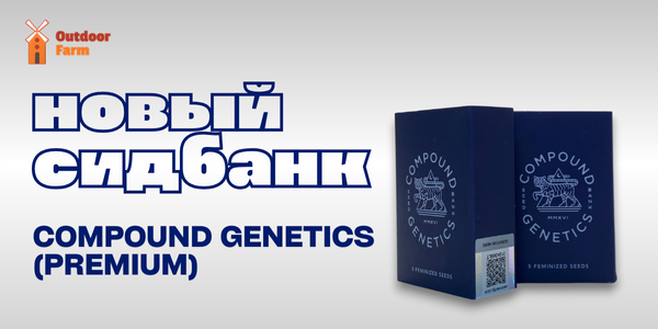 PREMIUM НОВИНКА!