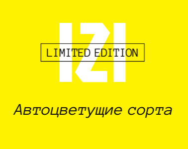Поступление IZI Limited Edition