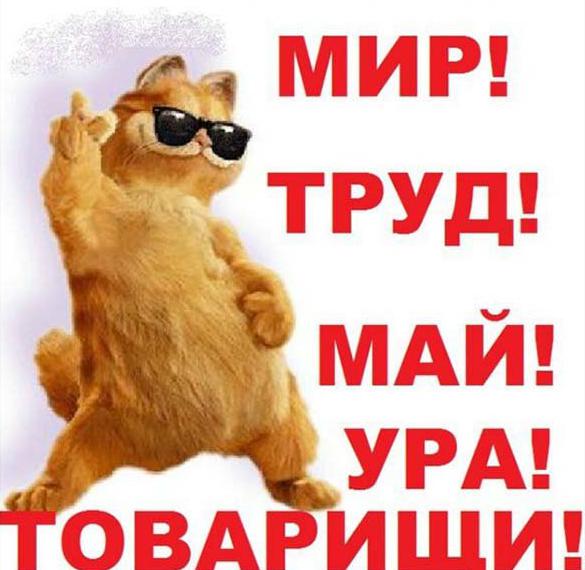 Мир! Труд! Май!